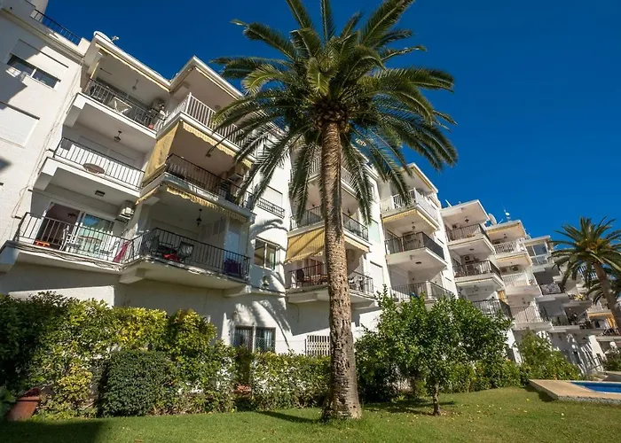 Coronado 136 Menyber *